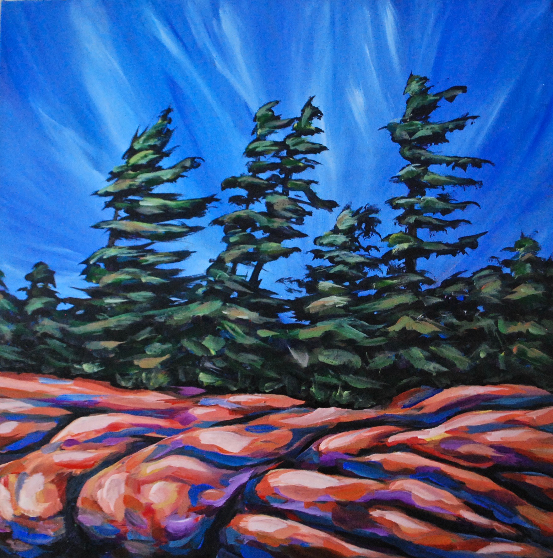 Burst of Colour — Acrylic on canvas